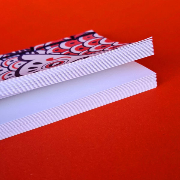 Livret Koinobori – Image 3